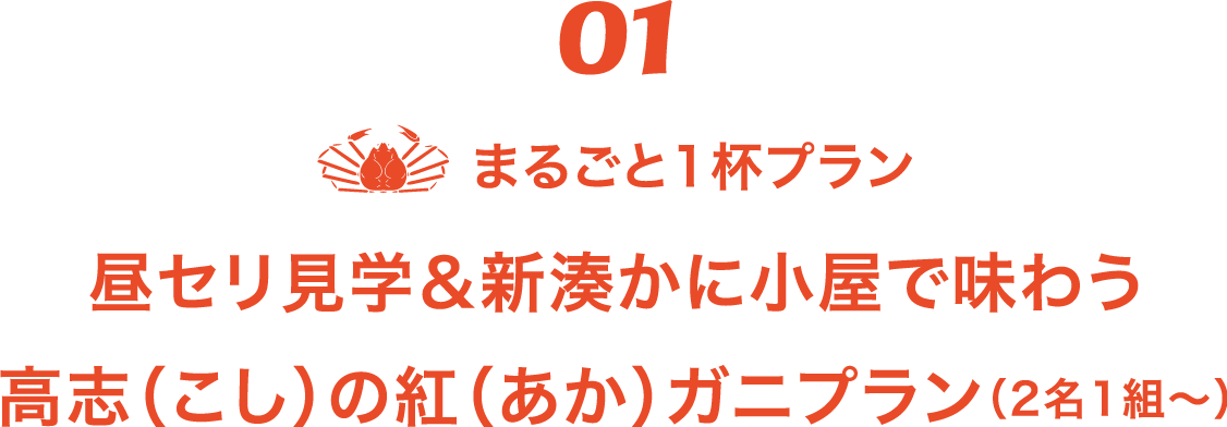 01 まるごと1杯プラン　昼セリ見学＆新湊かに小屋で味わう高志の紅ガニプラン（2名1組～）